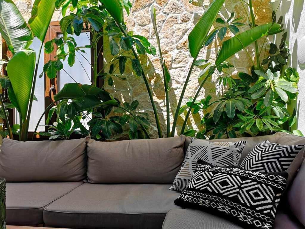 Casa Rural Albireo Rebosante De Luz Y Naturaleza Sanlucar De Guadiana Ngoại thất bức ảnh